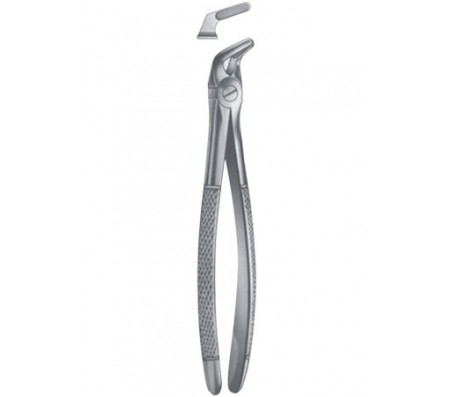 Extracting Forceps